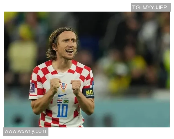 2014世界杯热身赛精彩回顾克罗地亚对阵马里全场战况分析与亮点总结